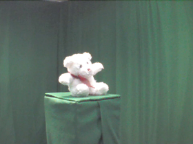 315 Degrees _ Picture 9 _ Small White Teddy Bear.png